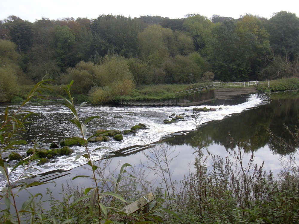Sprotbrough weir, South Yorkshire