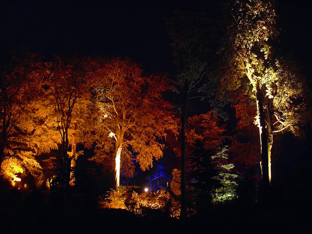 Enchanted Garden the Woodland garden at Brodsworth Hall, Brodsworth, South Yorkshire