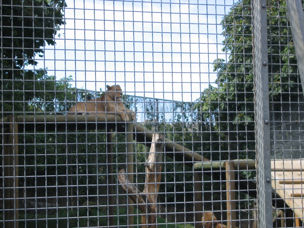 Newquay Zoo, Cornwall photo by poe