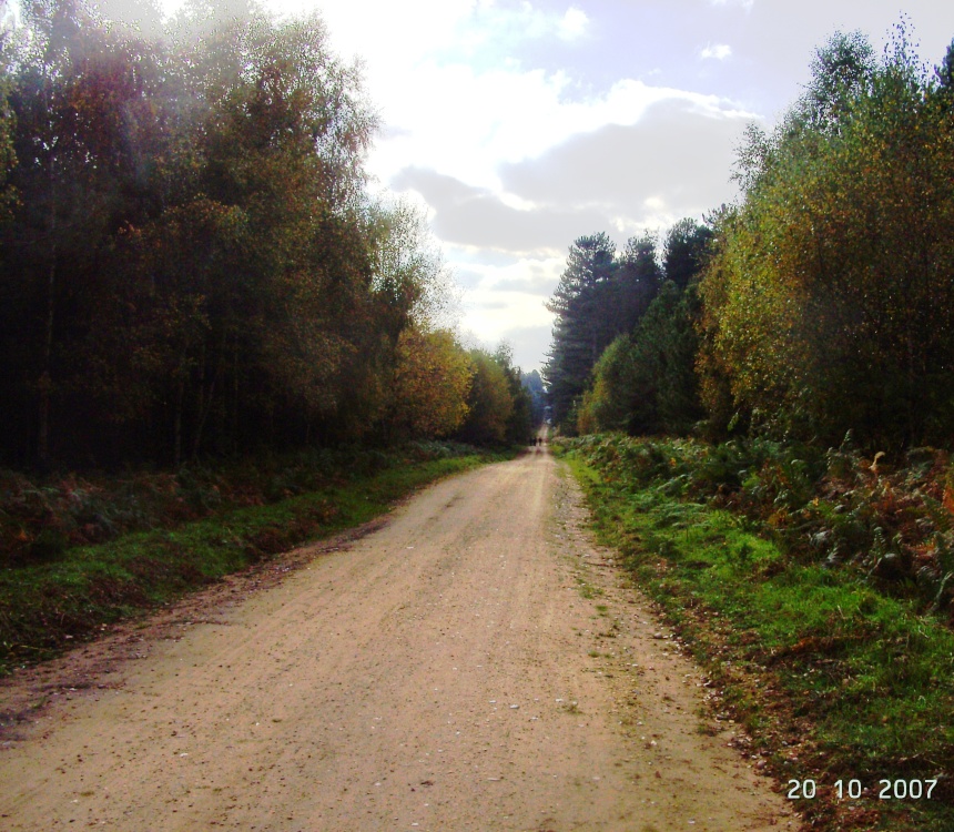 Sherwood Pines Forest Park