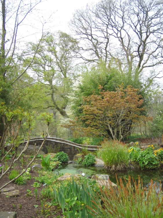RHS Garden Rosemoor, Great Torrington, Devon.