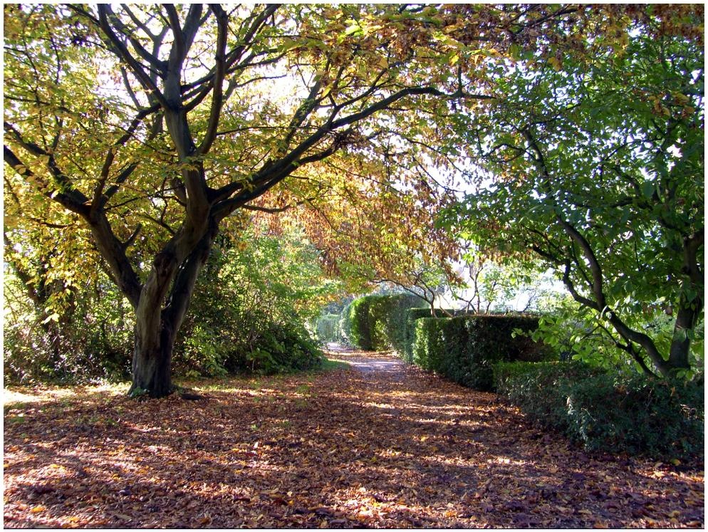 Stewart Road - Harpenden, Hertfordshire