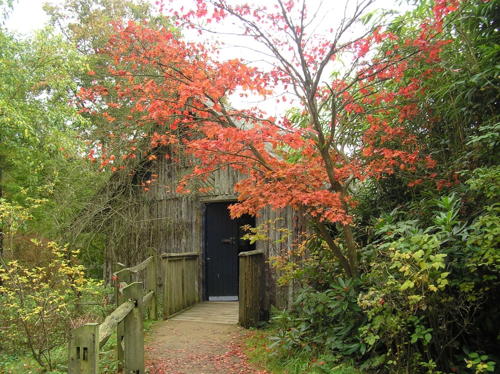 The boathouse at Winkworth, framed by autumn gold photo by Hilary Hoad