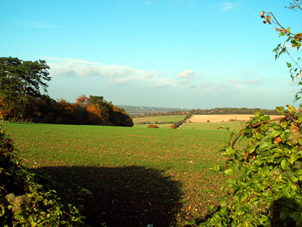 Hillsides of Kent
