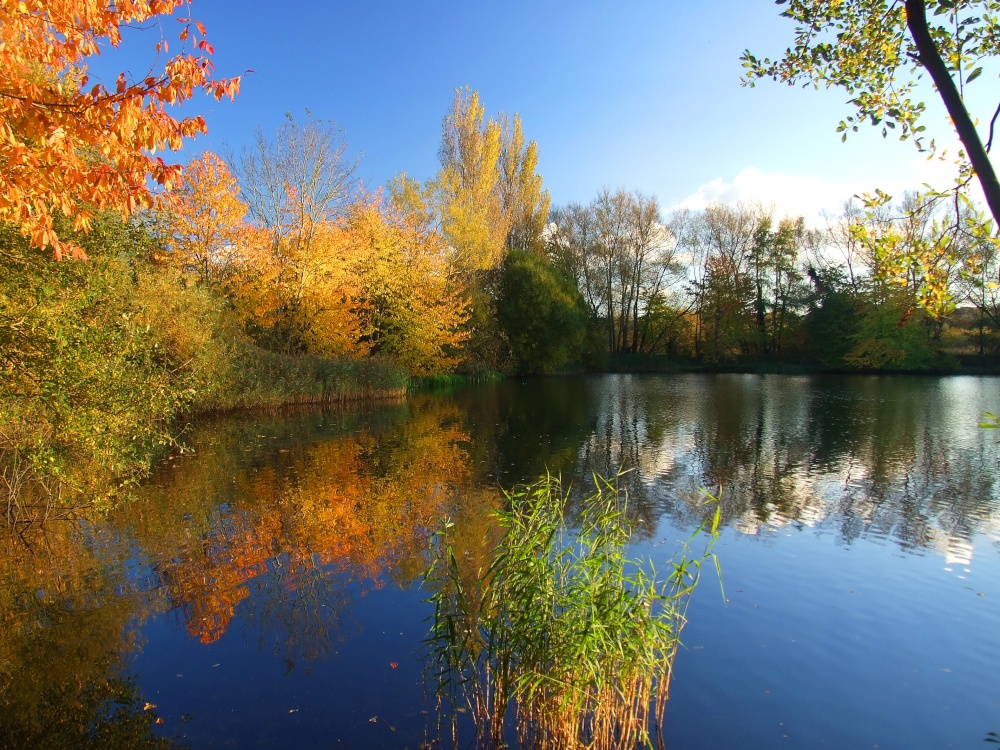 Photograph of Thatcham Angling Lakes, Berkshire