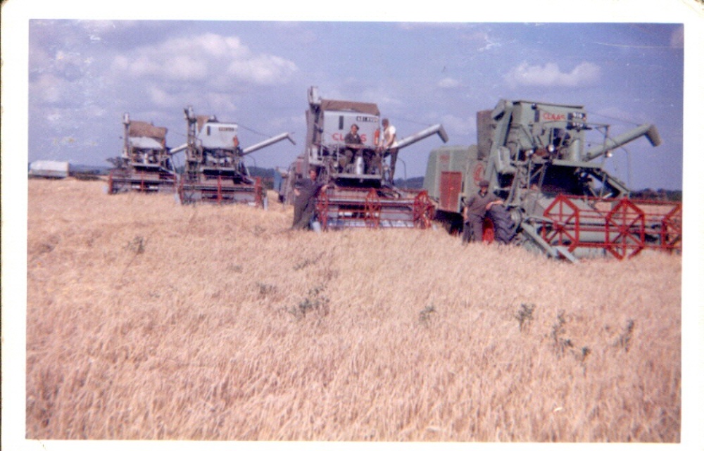 Photograph of Harvesting