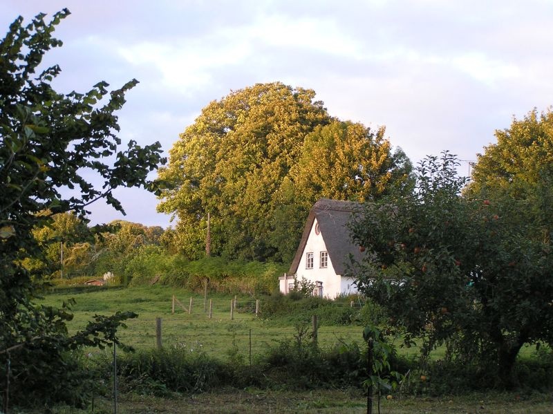 Cottage in the Tarrant valley, Dorset