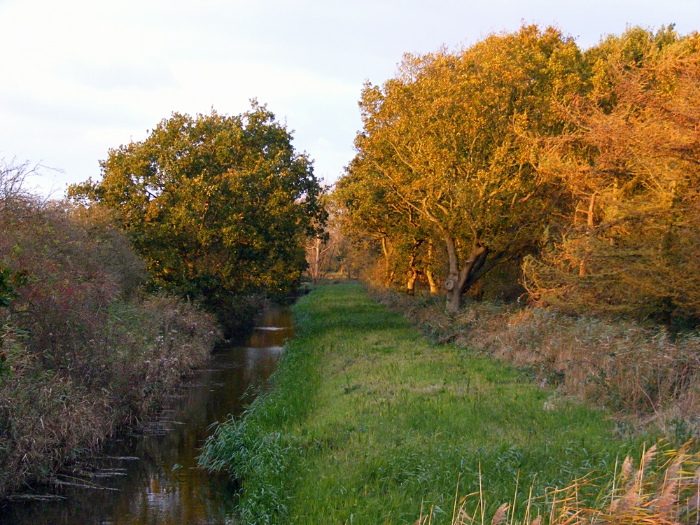 Horsey, late on an Autumn afternoon