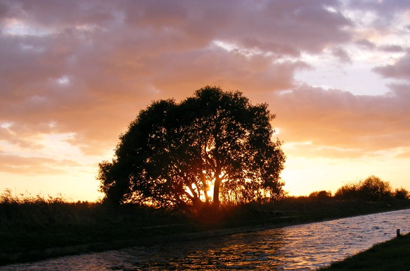 Horsey in Norfolk, late on an Autumn afternoon