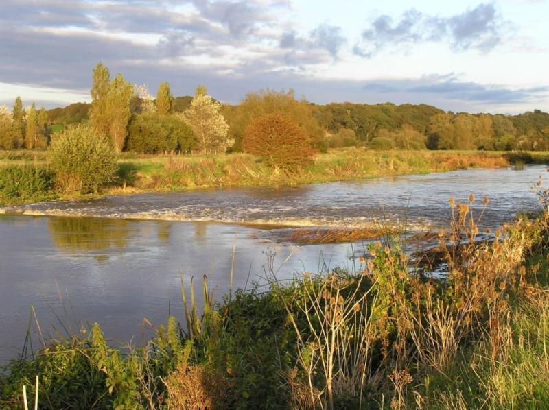 River Stour at Longham, Dorset