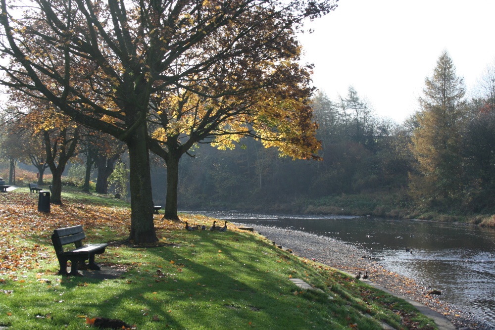 Along The River Ribble at Edisford Bridge, Clitheroe, Lancashire