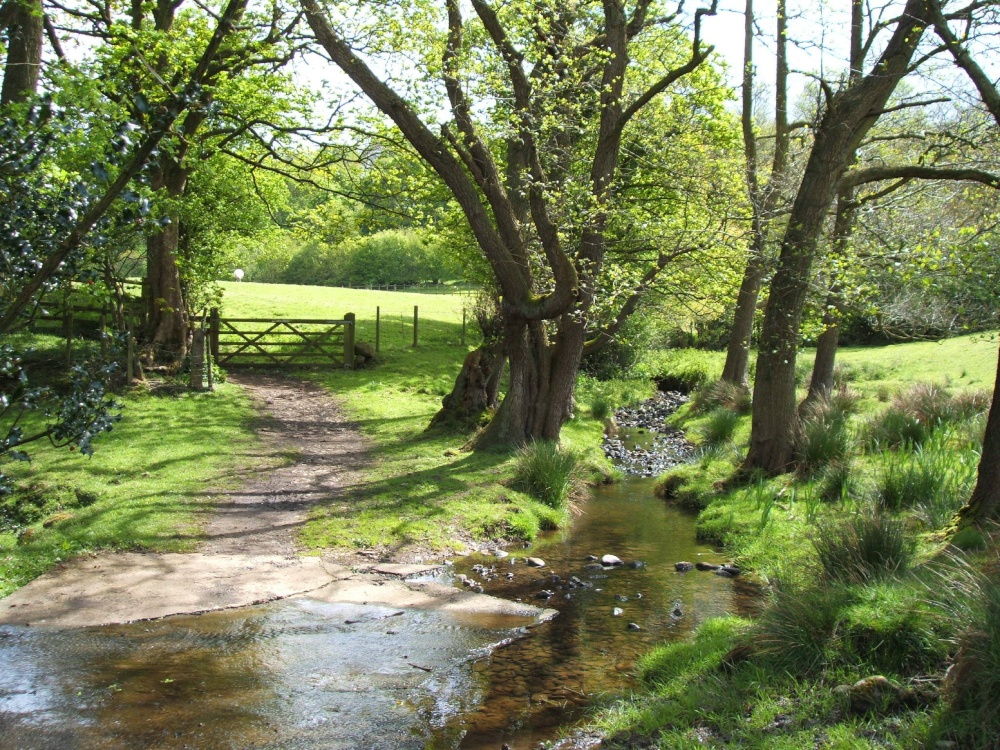 Photograph of Brook at Dinckley Suspension Bridge, Lancashire.