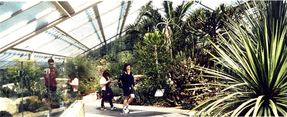 Princess of Wales Conservatory