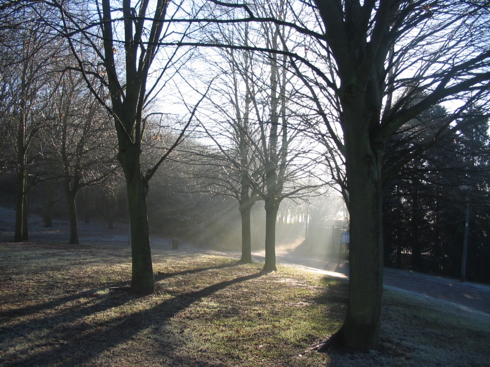 Winter Sunshine at Fairlands Valley Park photo by Jo Hennessey