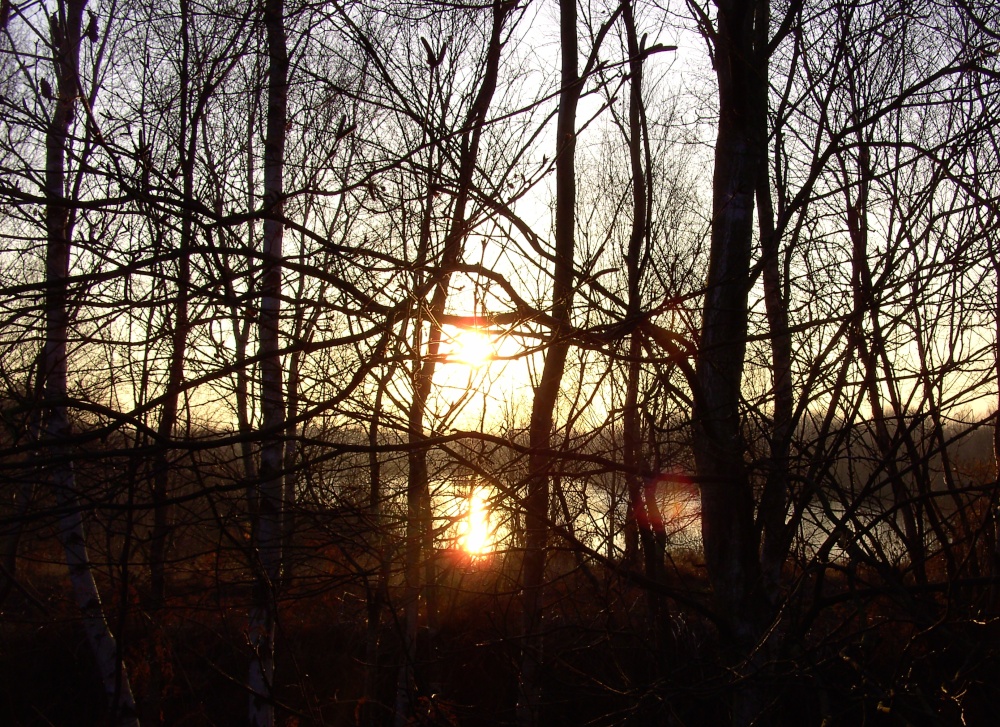 Photograph of Hatfield Moor Nature Reserve