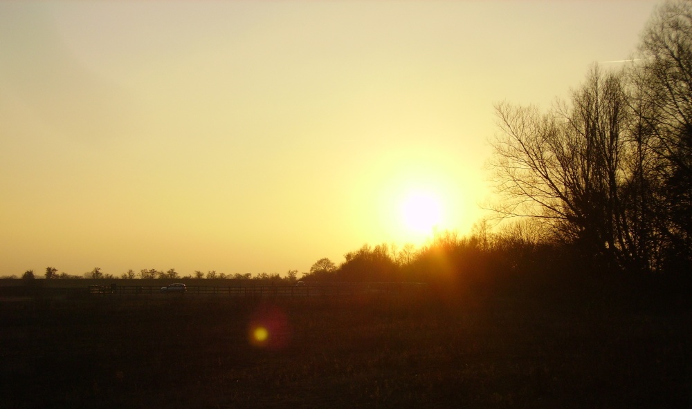 Photograph of Hatfield Moor Nature Reserve