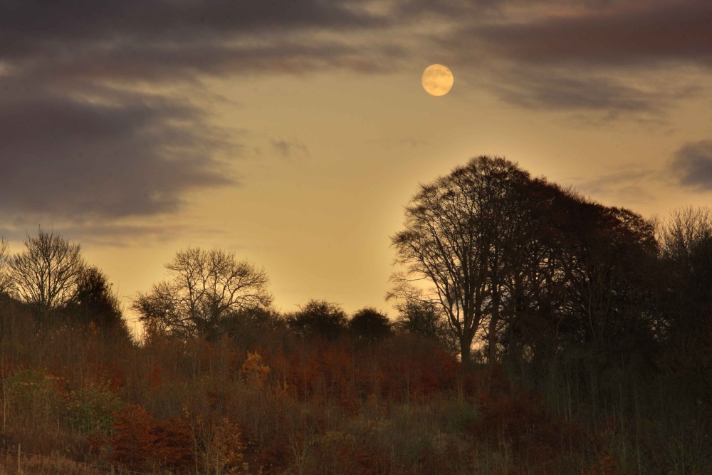 Night Scene, South Cave Area