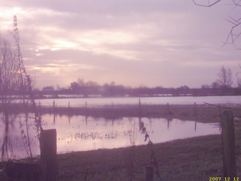 The wildfowl reserve early morning