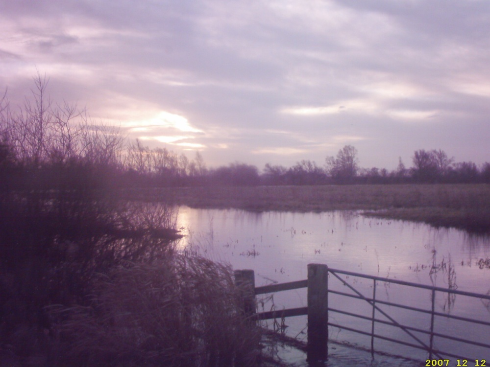The wildfowl reserve early morning