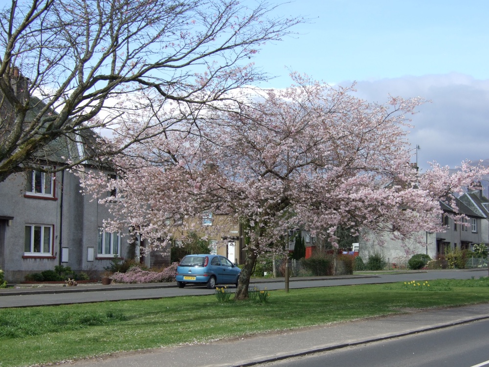 Photograph of Callander