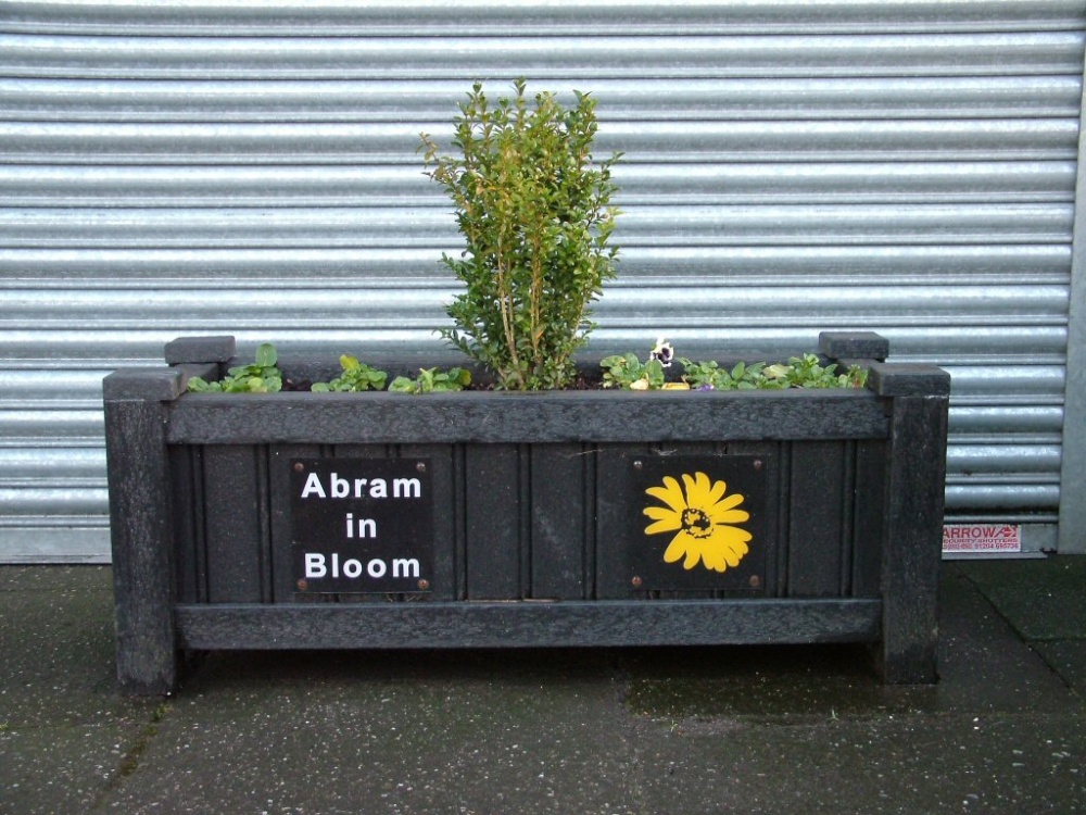 Photograph of Abram In Bloom 2008