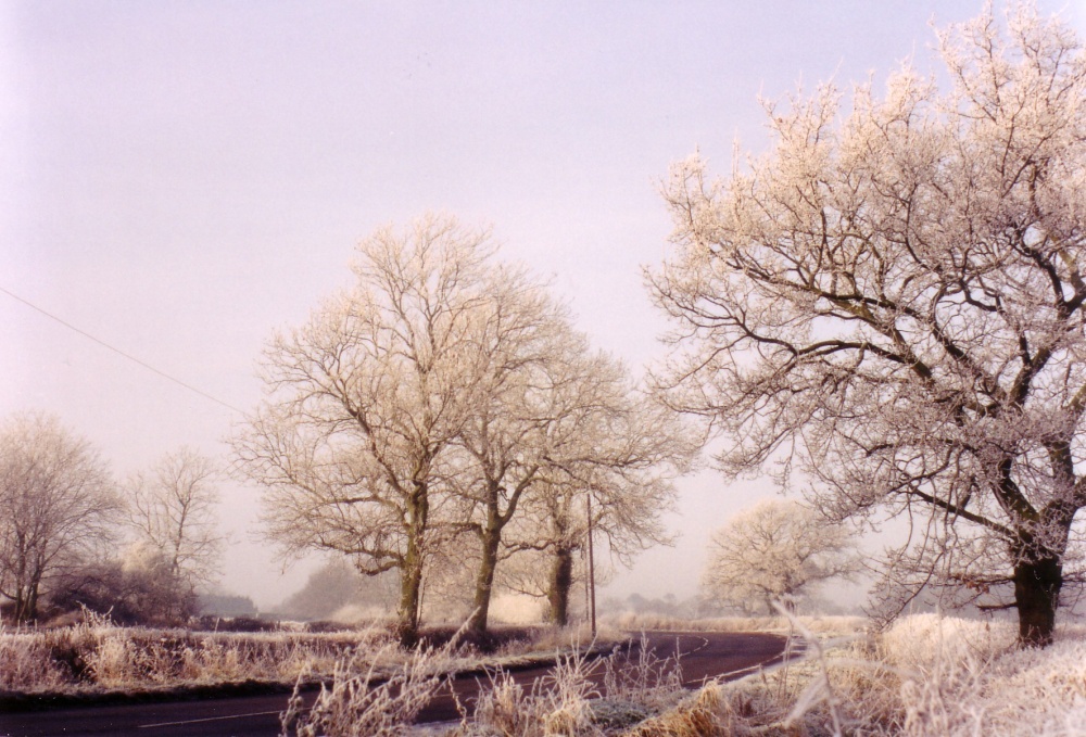 Photograph of Frosty morning in Anstey, Leicestershire