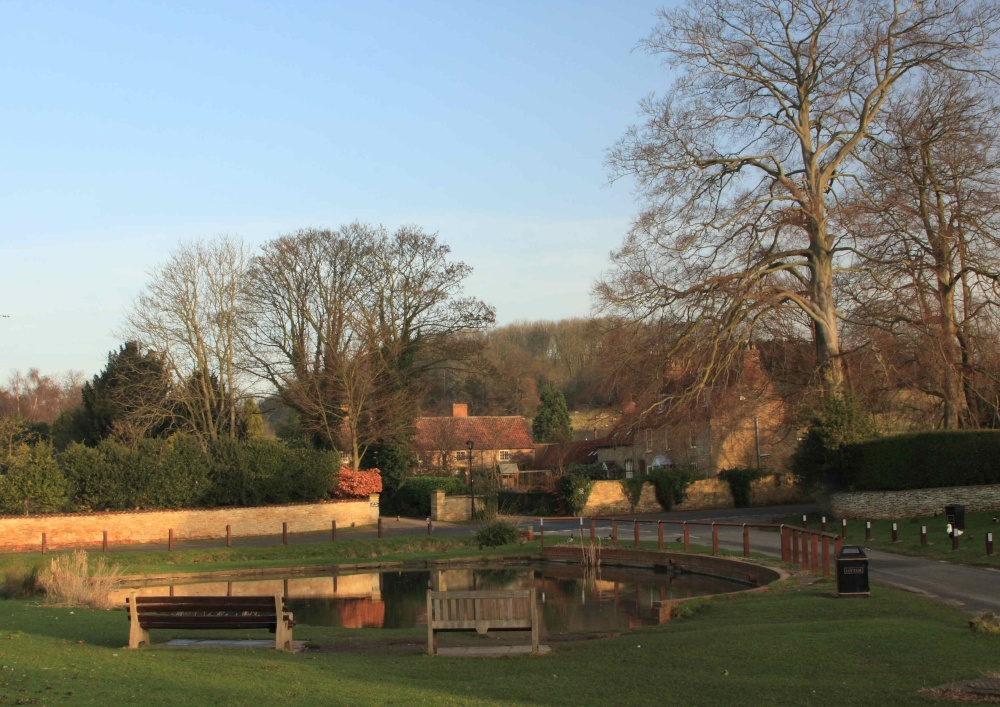 Brantingham Village Pond, East Riding of Yorkshire
