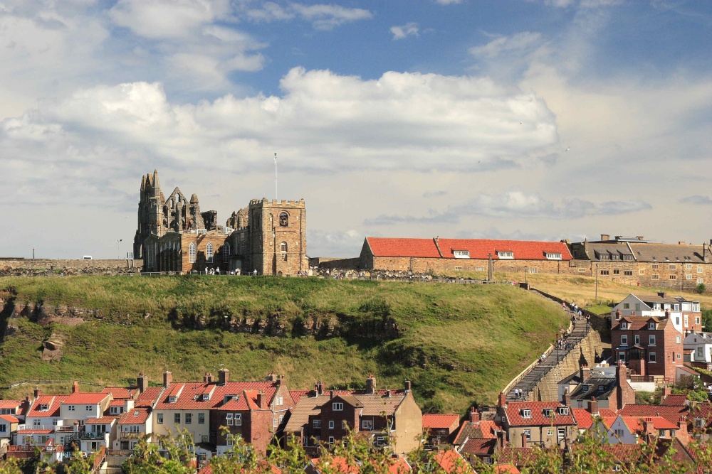 Whitby Abbey View, North Yorkshire