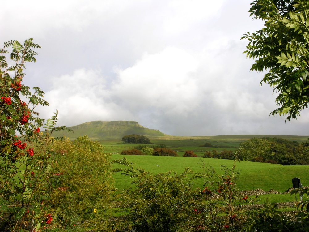 Peny Ghent View