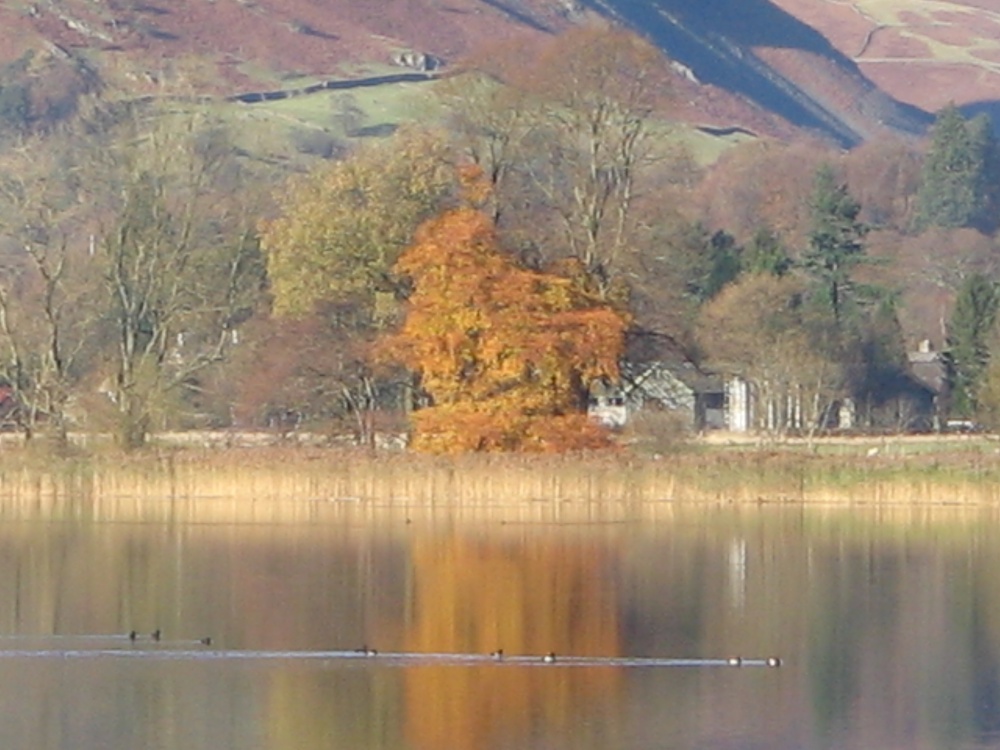 Grasmere on a cold November afternoon.