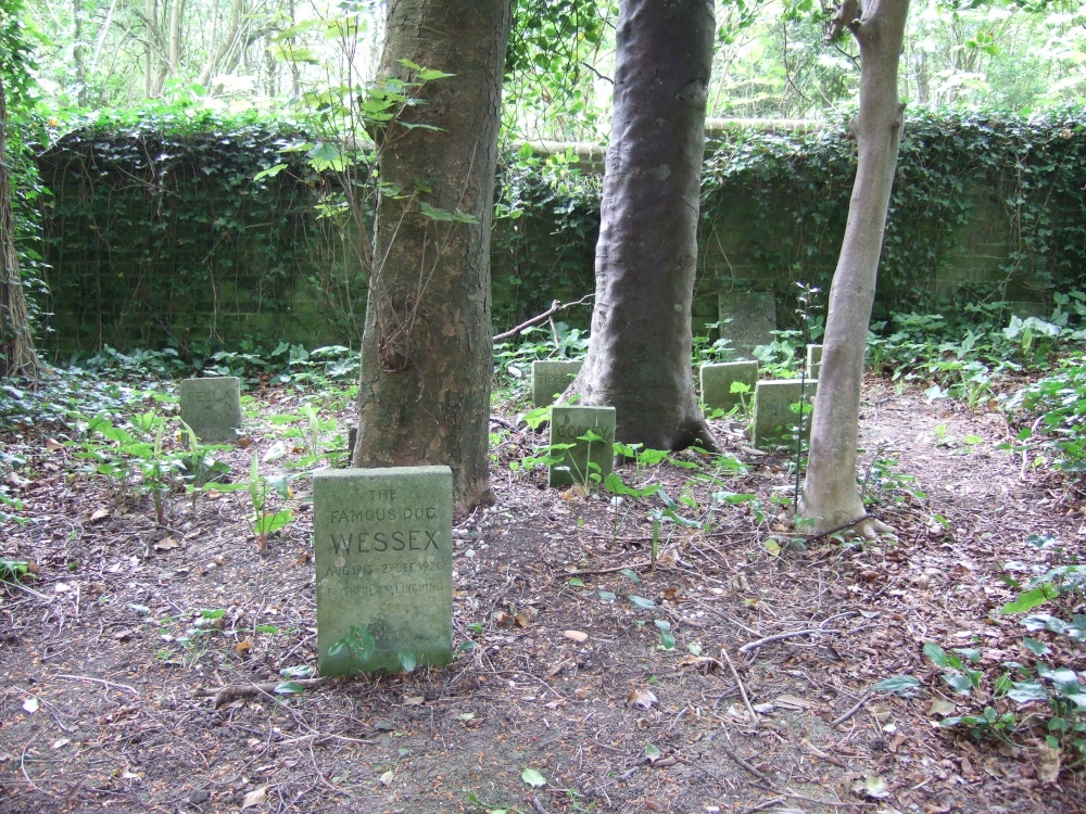 Max Gate: the pet cemetery