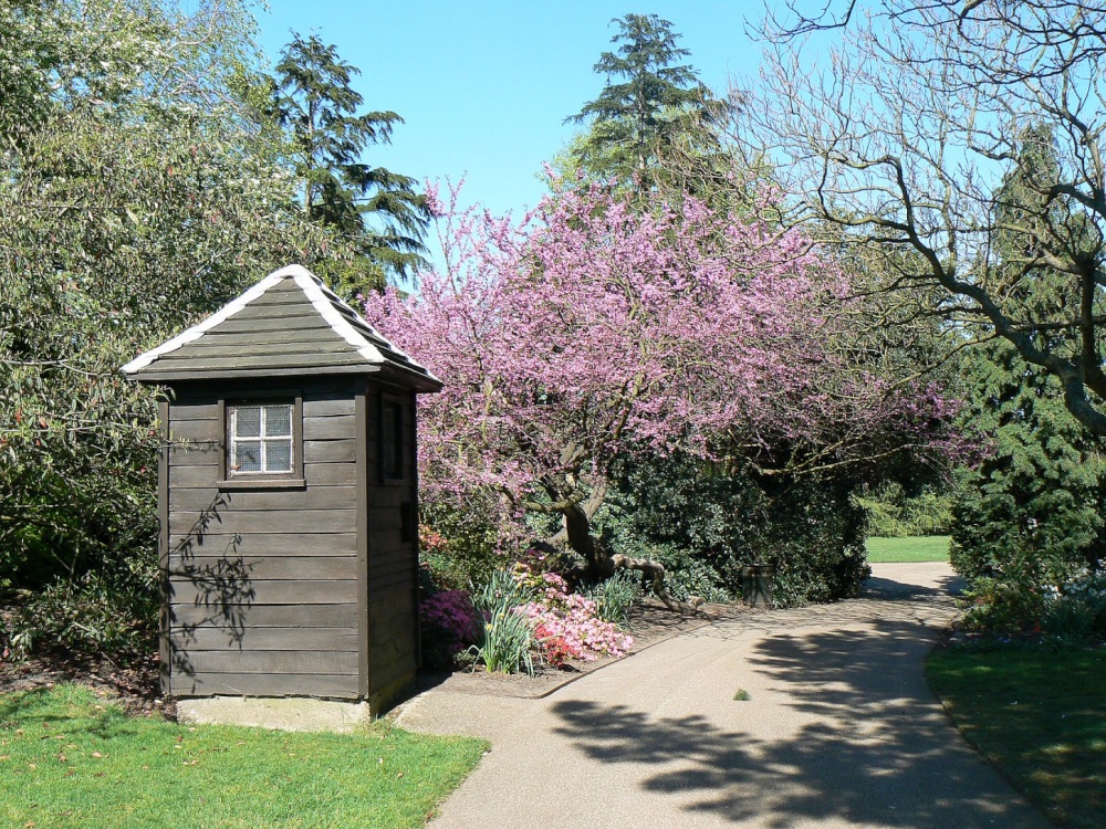 Flora in Greenwich Park, Greater London