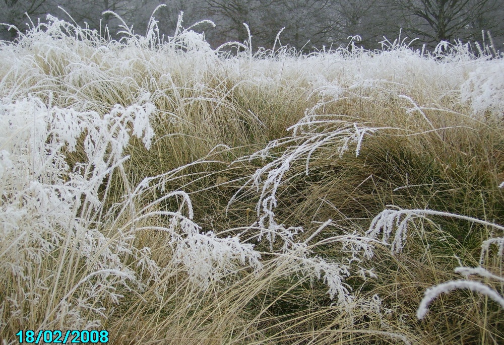 Winterland, Worksop, Nottinghamshire