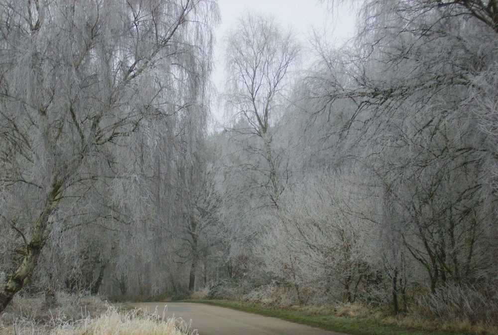 Winterland, Worksop, Nottinghamshire