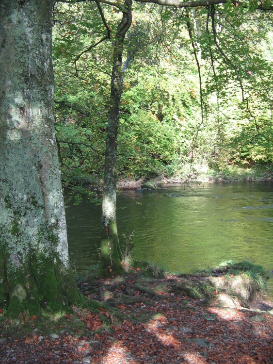 October, the Brathay River, nr. Ambleside,Cumbria.