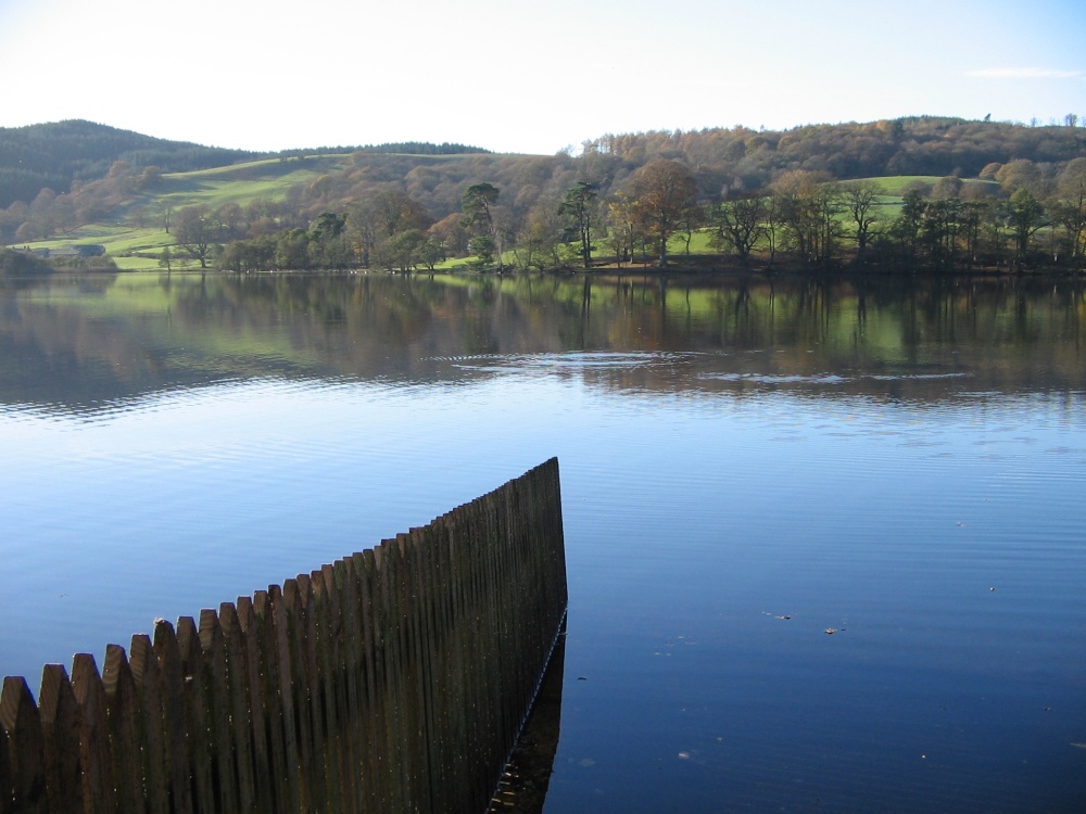 Late Autumn afternoon at Esthwaite Water, Near Sawery, Cumbria. photo by Roy Jackson