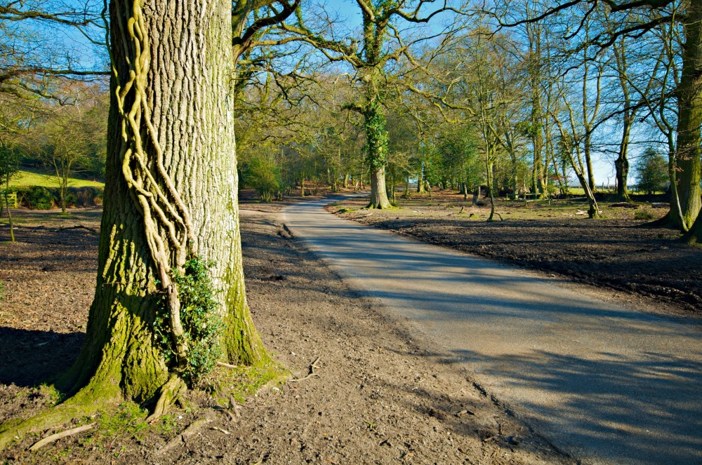 Newbridge, Hampshire