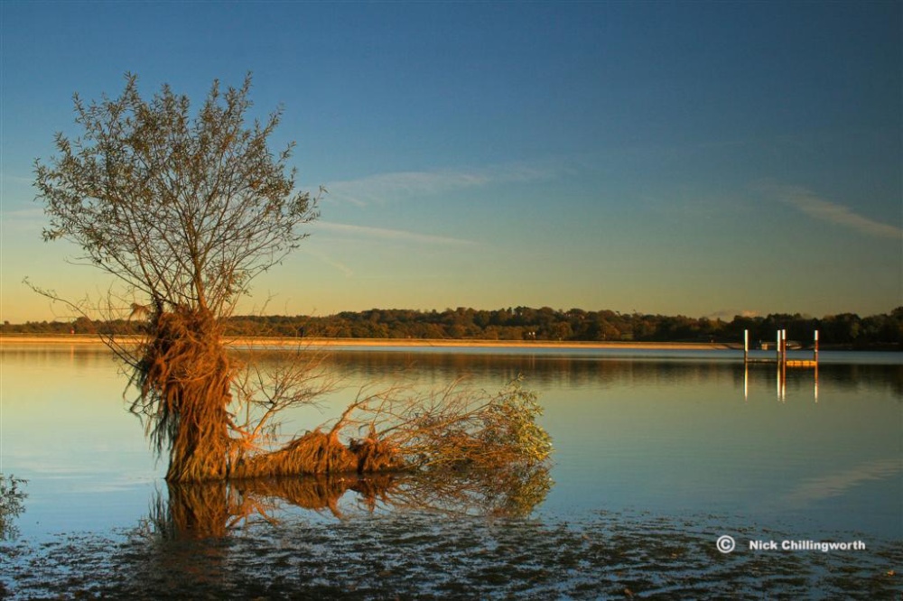 Photograph of Darwell Reservoir