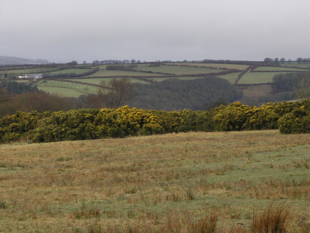 Cussacombe Common, Twitchen, Devon