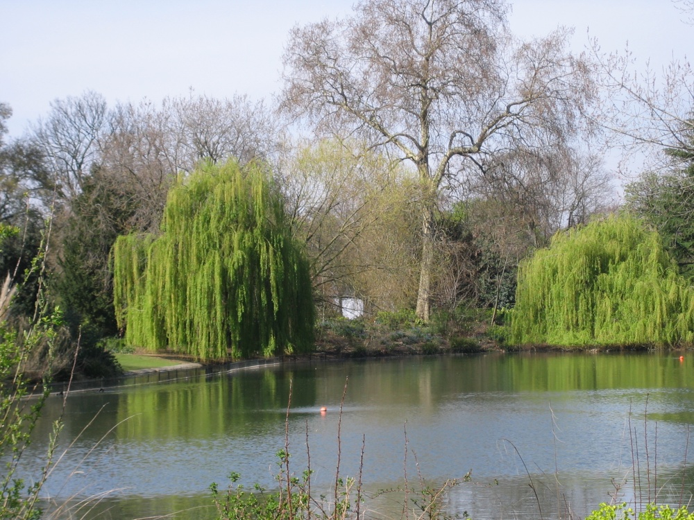 Battersea Park photo by Irina Rõõmussaar