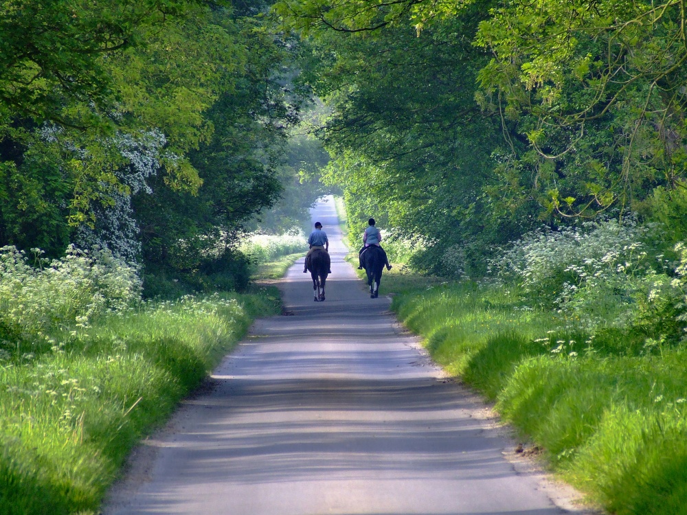 "A gentle walk down a country lane, Burton, East Riding of