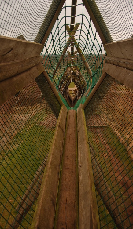 Assault course at Conkers, Moira, Leicestershire