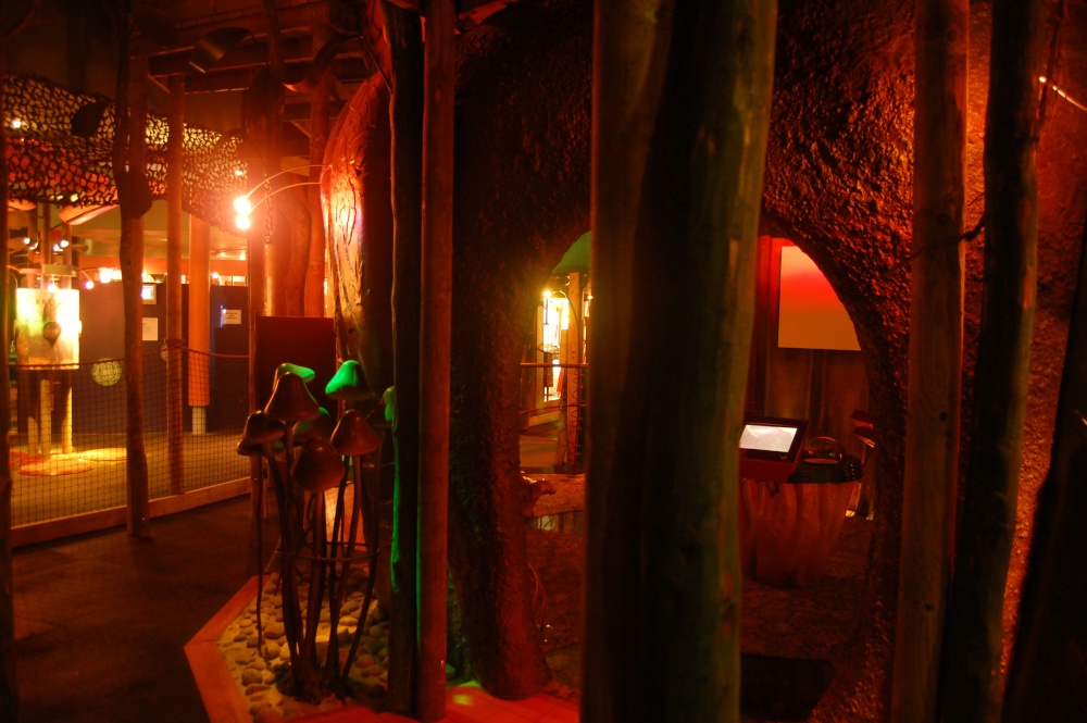 Enchanted Forest at Conkers, Moira, Leicestershire