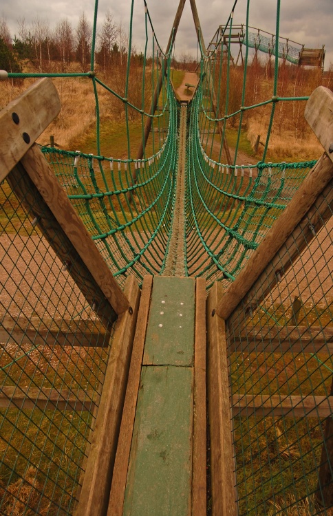 Rope bridge, Conkers, Moira, Leicestershire