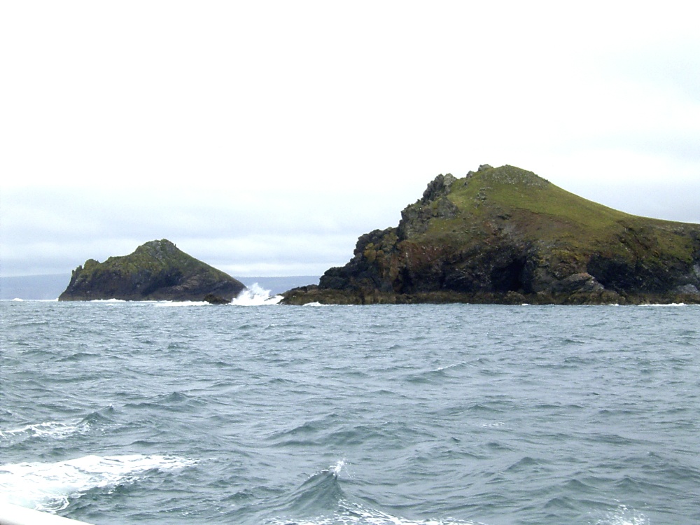 Puffin Island  nr Padstow,Cornwall.