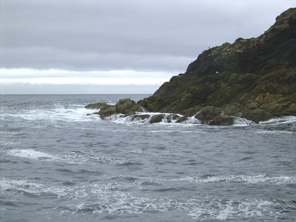 Puffin Island nr Padstow,Cornwall.