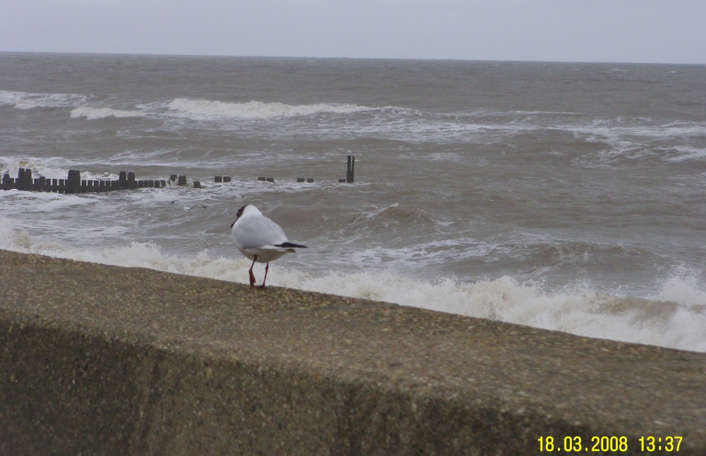 The Sea, Walcott, Norfolk