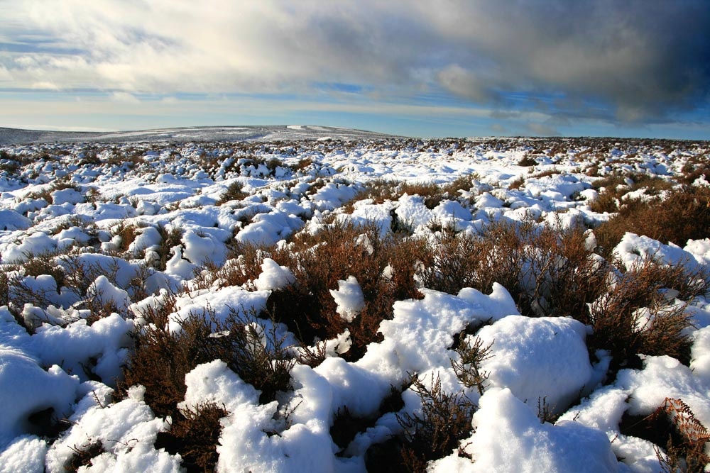Winter on the Long Mynd, Church Stretton, Shropshire photo by John Godley