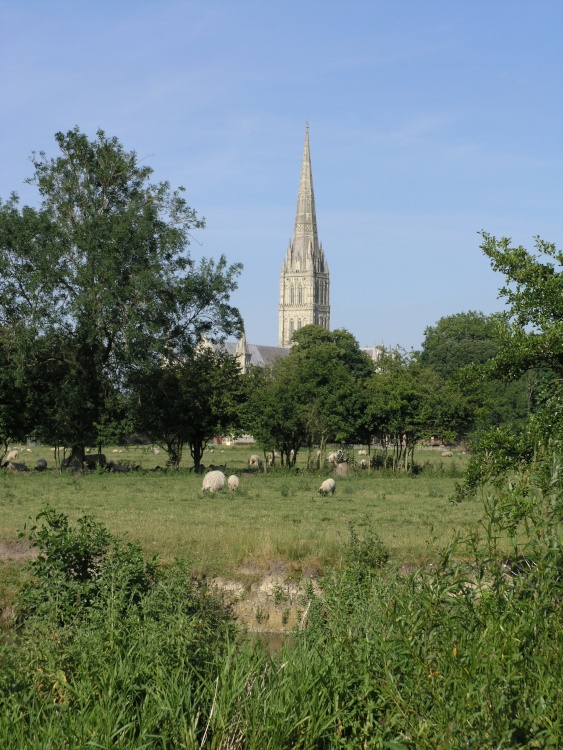 England's green and pleasant land, Salisbury, Wiltshire
