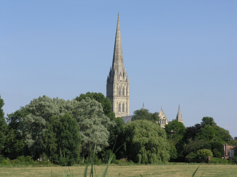 The elegant spire of the Cathedral rising above the trees of Harnham meadows